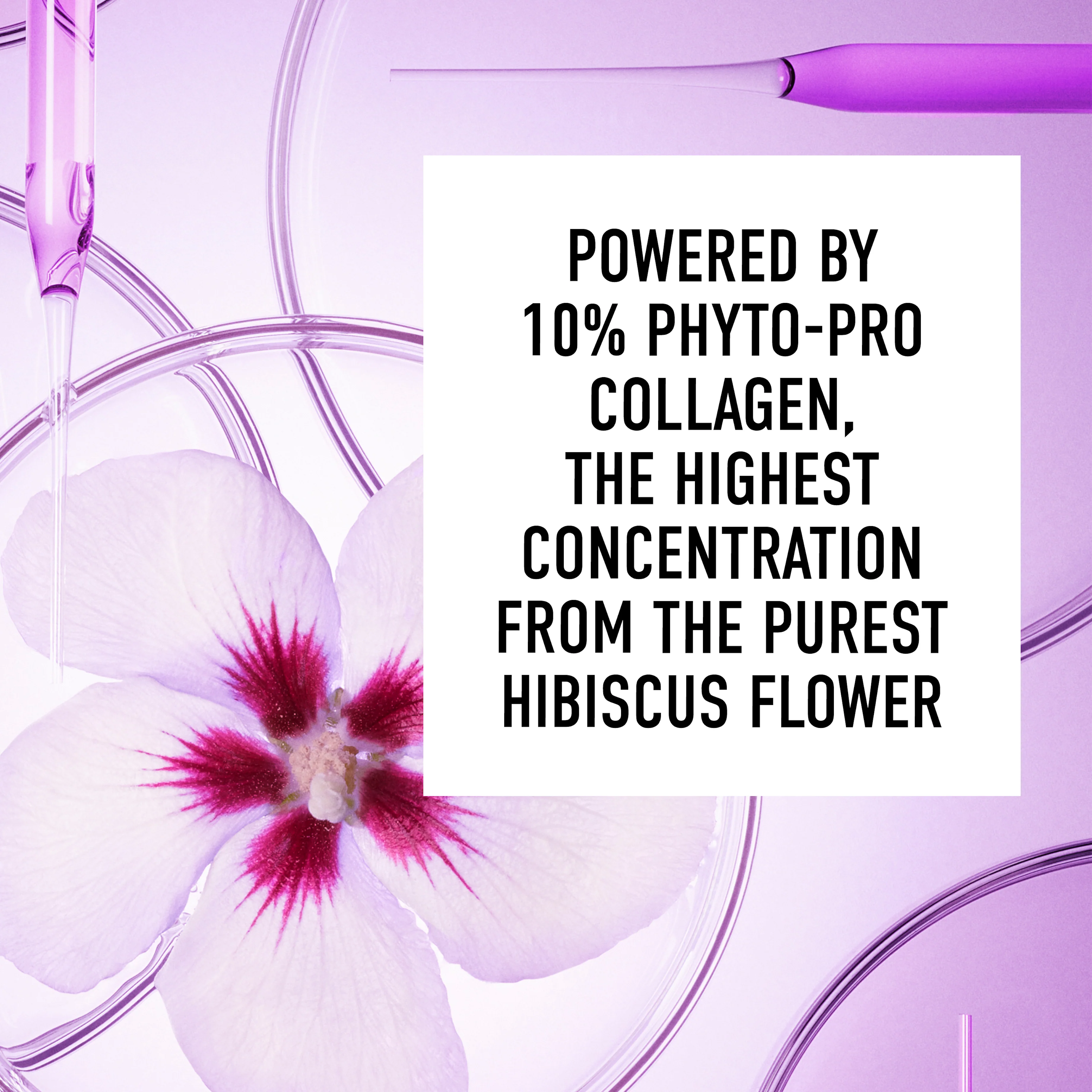 AGELESS 10% Phyto ProCollagen Firming Anti-Age Cream - Image 3